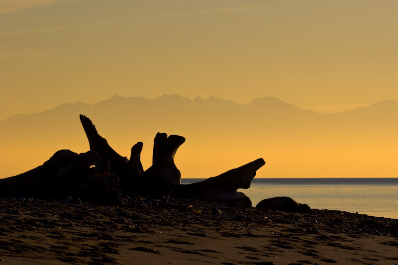 Driftwood On Beach WIth Olympic Mountains In The Distance